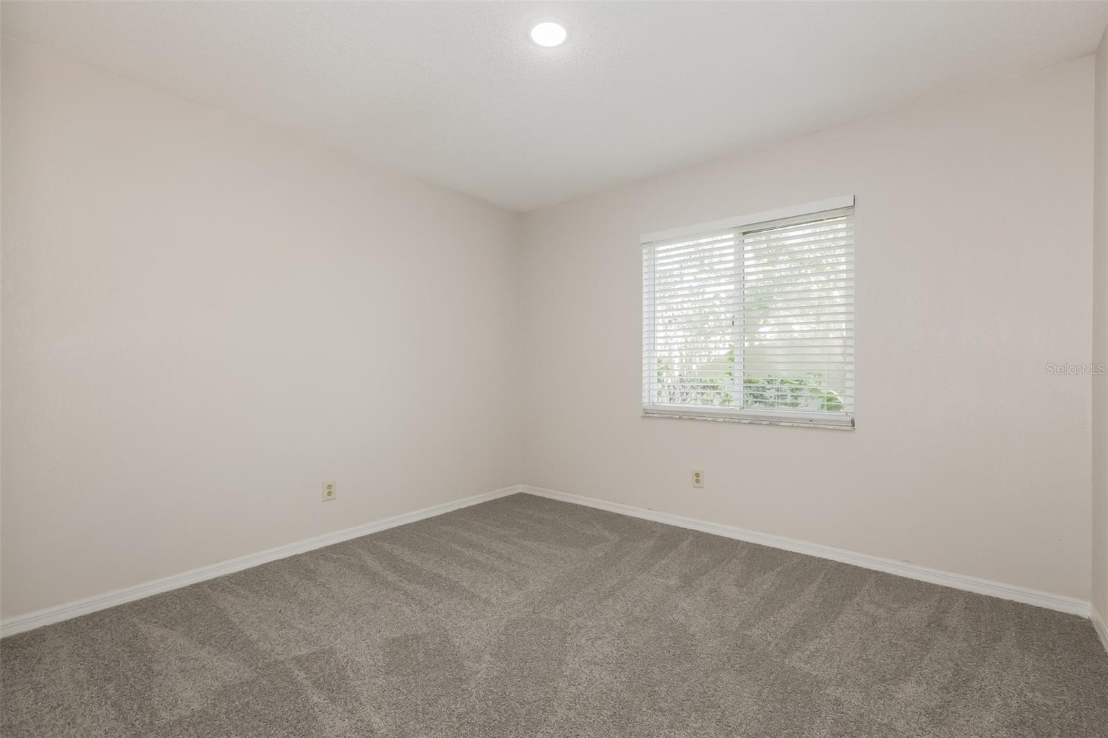 2624 BRIDLE DR, PLANT CITY, FL — photo 12