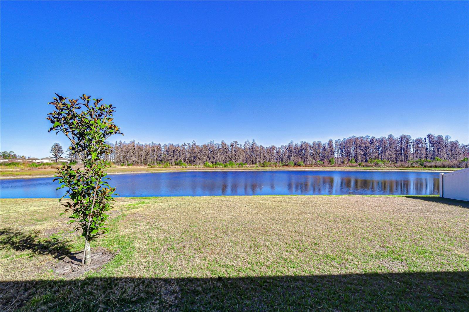 10422 GLIDING EAGLE WAY, LAND O LAKES, FL — photo 47