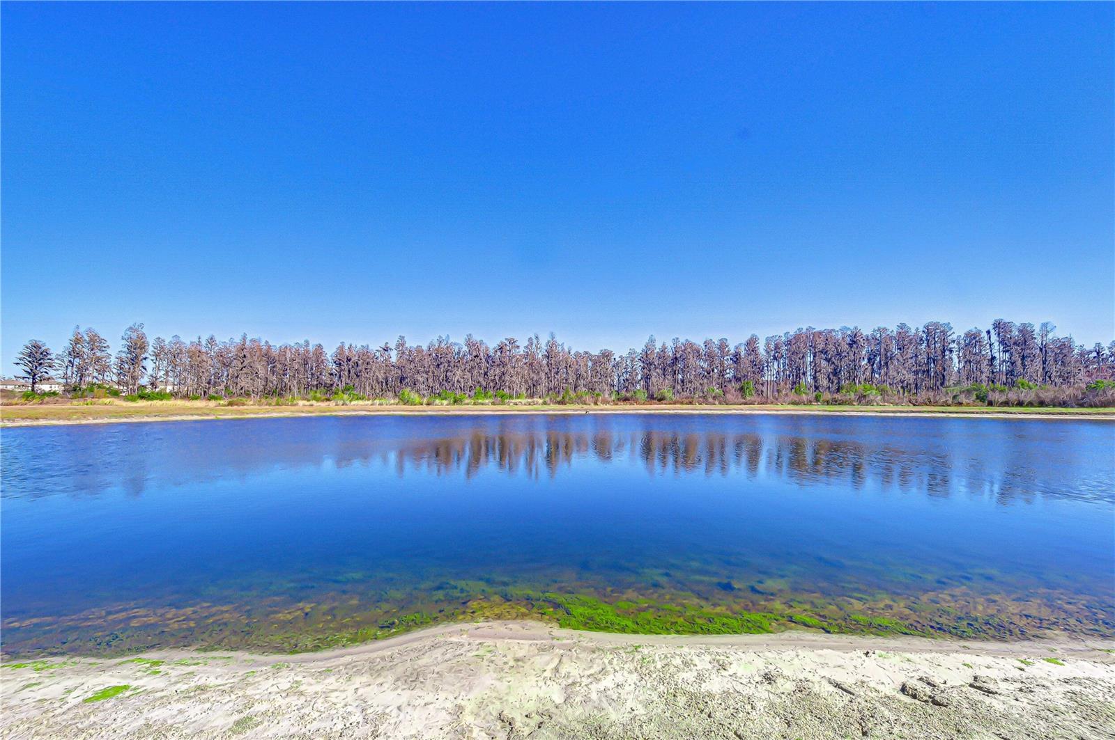 10422 GLIDING EAGLE WAY, LAND O LAKES, FL — photo 50
