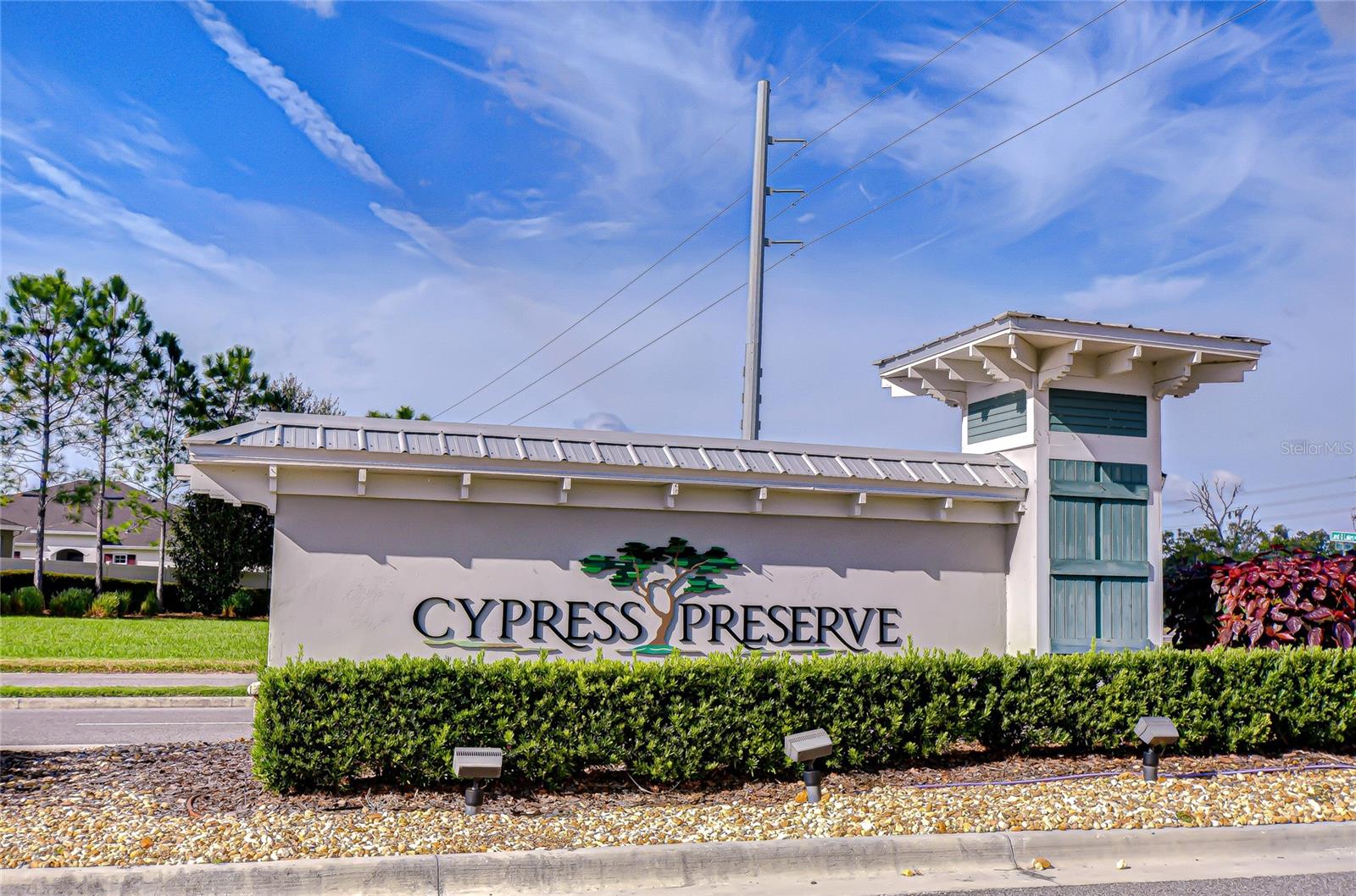 10422 GLIDING EAGLE WAY, LAND O LAKES, FL — photo 51