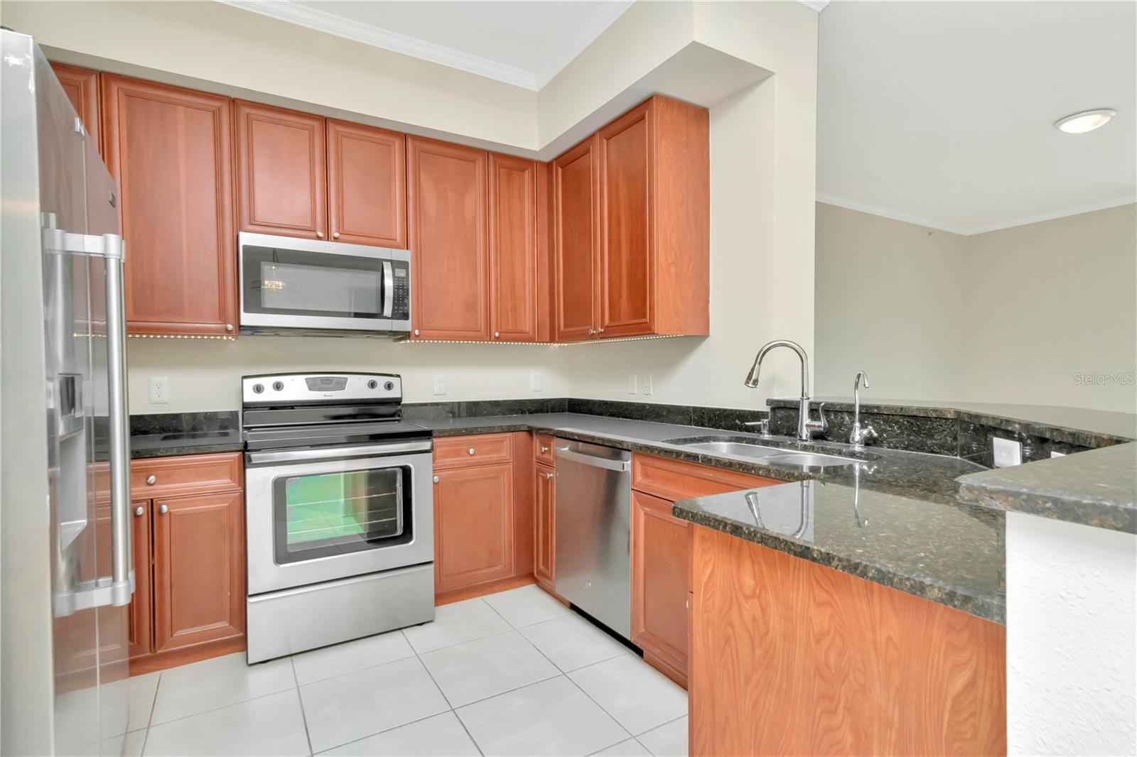 4516 SEAGULL DR #916, NEW PORT RICHEY, FL — photo 4