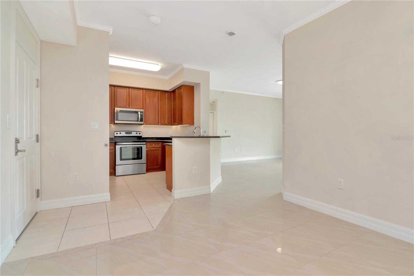 4516 SEAGULL DR #916, NEW PORT RICHEY, FL — photo 9