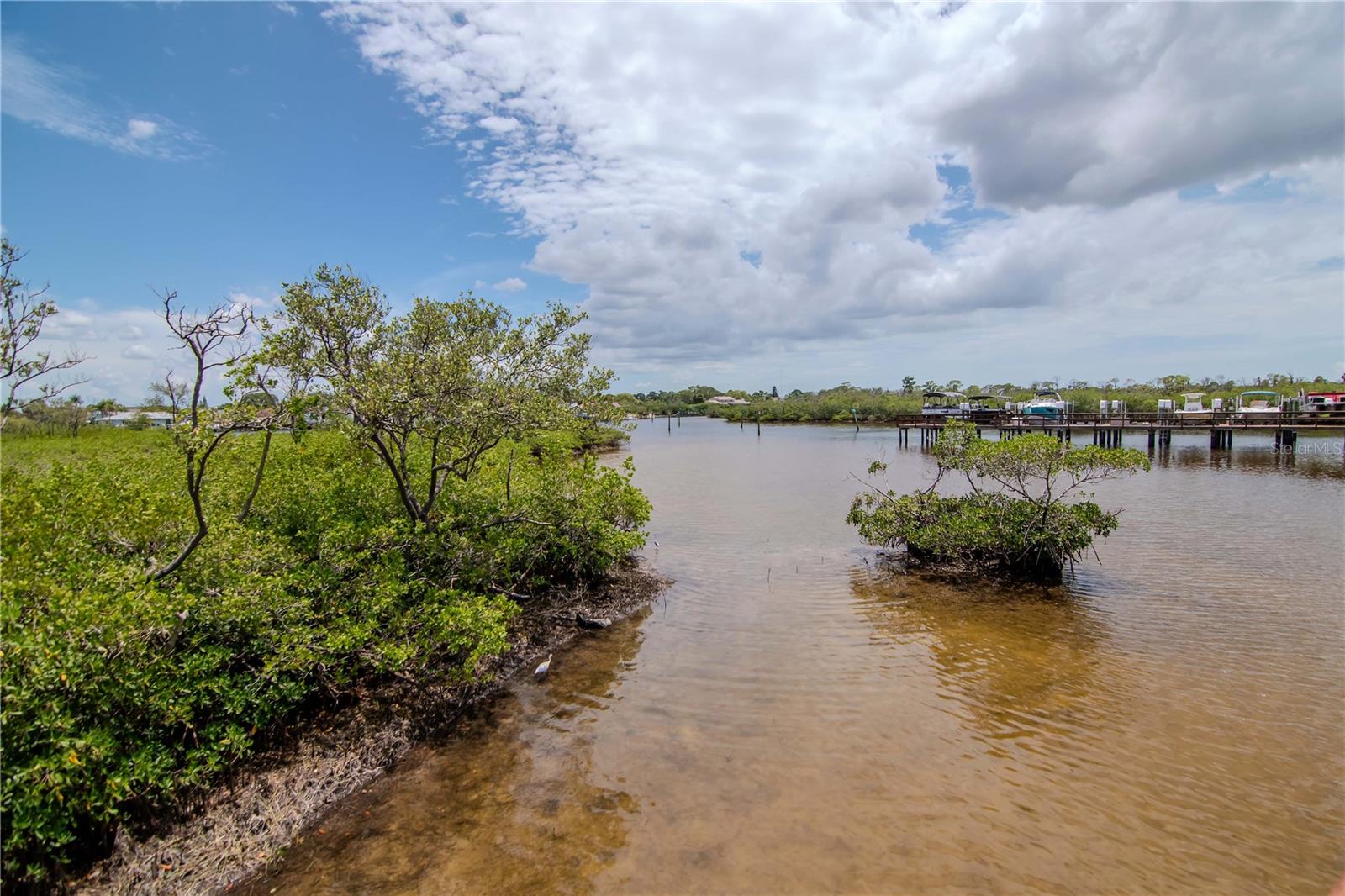 4516 SEAGULL DR #916, NEW PORT RICHEY, FL — photo 54