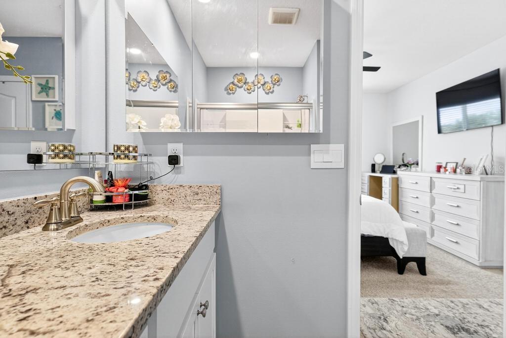 33470 ALWAYS DREAMING CT, SORRENTO, FL — photo 88