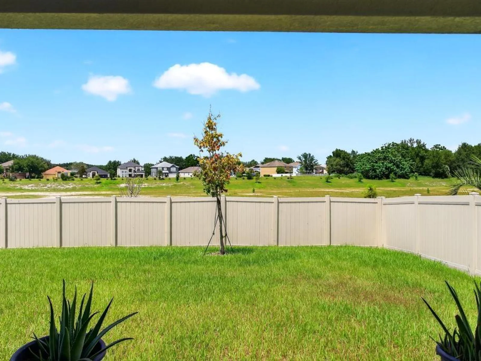 33470 ALWAYS DREAMING CT, SORRENTO, FL — photo 103