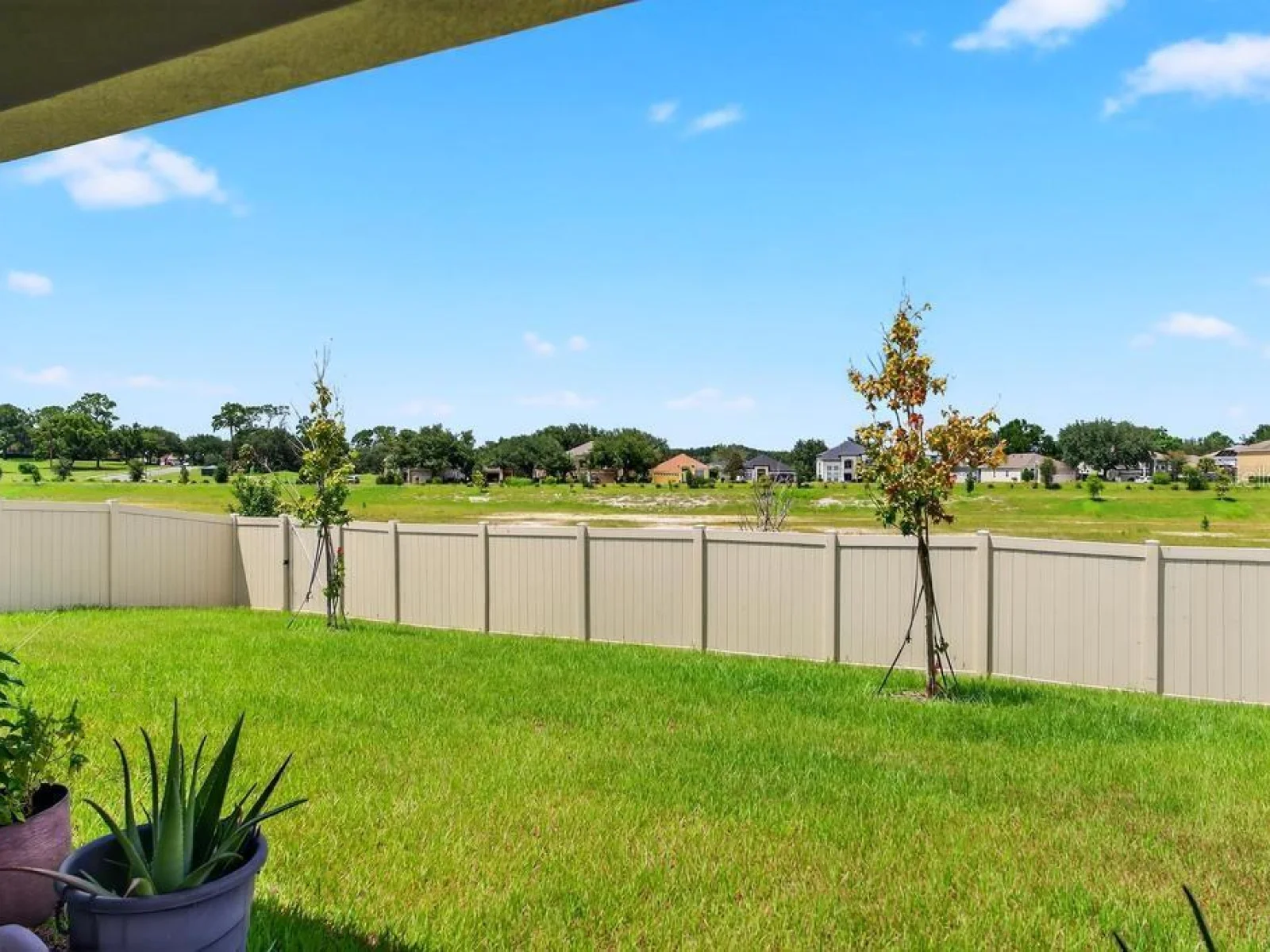 33470 ALWAYS DREAMING CT, SORRENTO, FL — photo 106