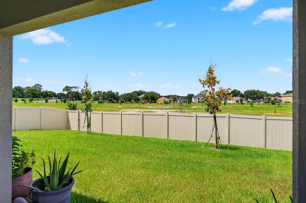33470 ALWAYS DREAMING CT, SORRENTO, FL — photo 105