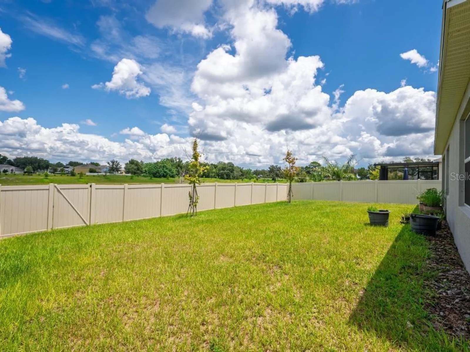 33470 ALWAYS DREAMING CT, SORRENTO, FL — photo 120
