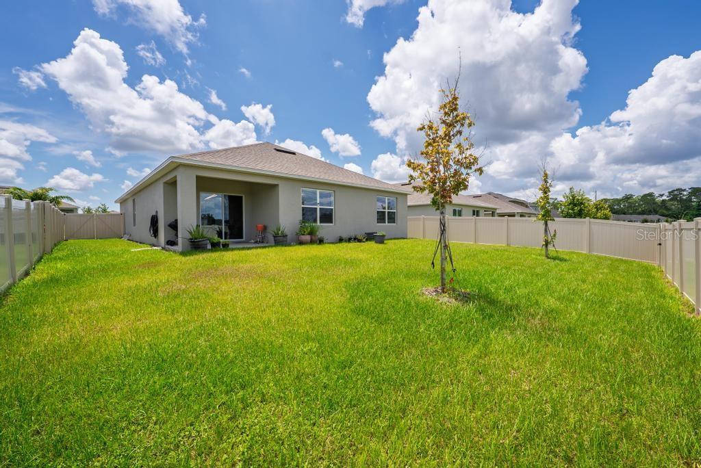 33470 ALWAYS DREAMING CT, SORRENTO, FL — photo 131