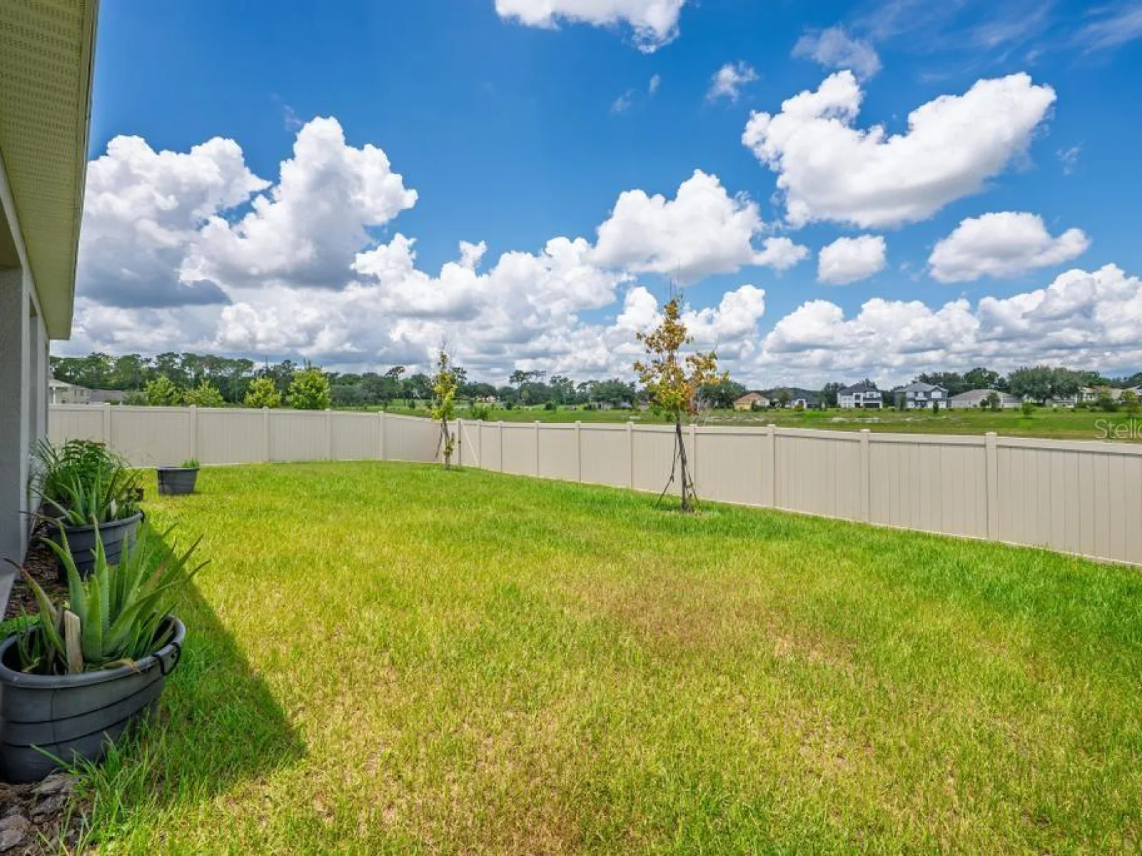 33470 ALWAYS DREAMING CT, SORRENTO, FL — photo 133