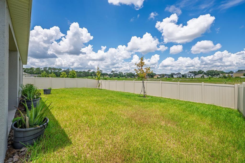 33470 ALWAYS DREAMING CT, SORRENTO, FL — photo 134
