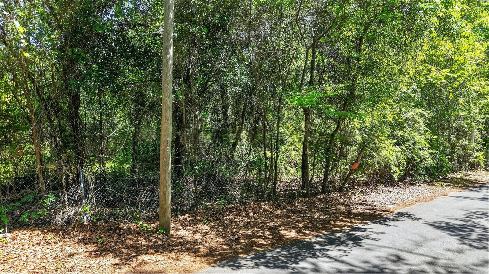 TBD SE 2ND AVE, GAINESVILLE, FL — photo 4