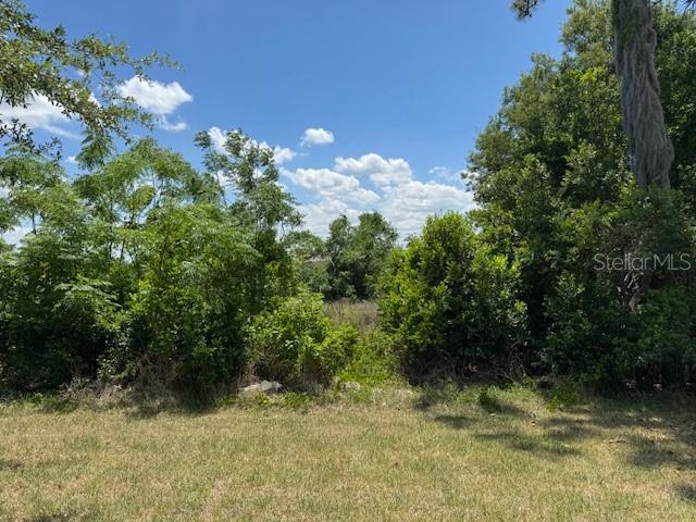 3200 WINGED FOOT RD, MOUNT DORA, FL — photo 56