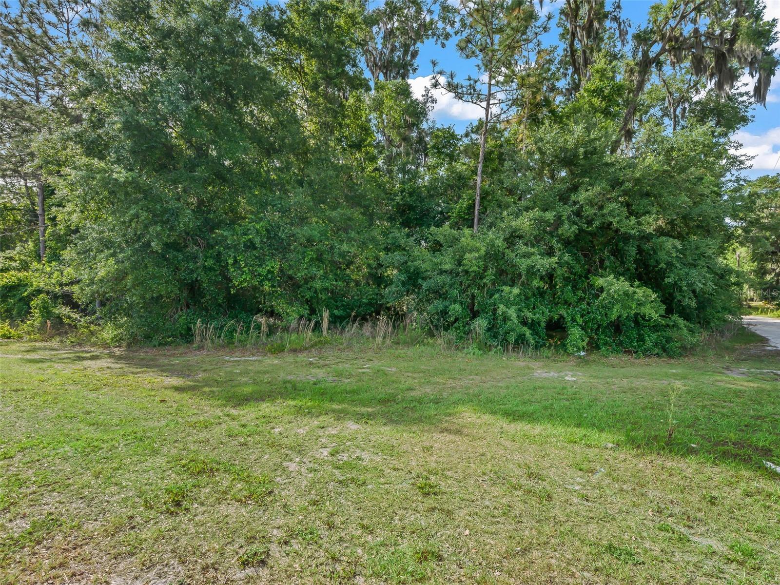 2823 W C 48, BUSHNELL, FL — photo 3