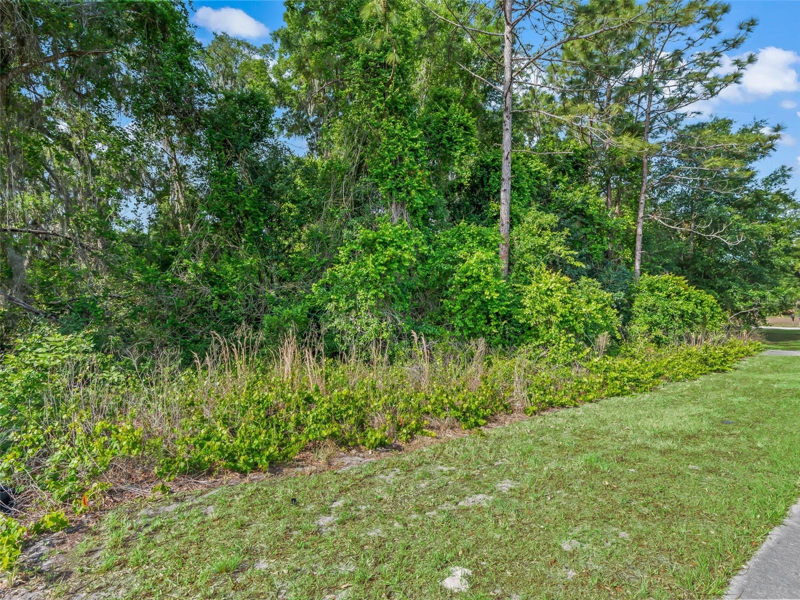 2823 W C 48, BUSHNELL, FL — photo 4