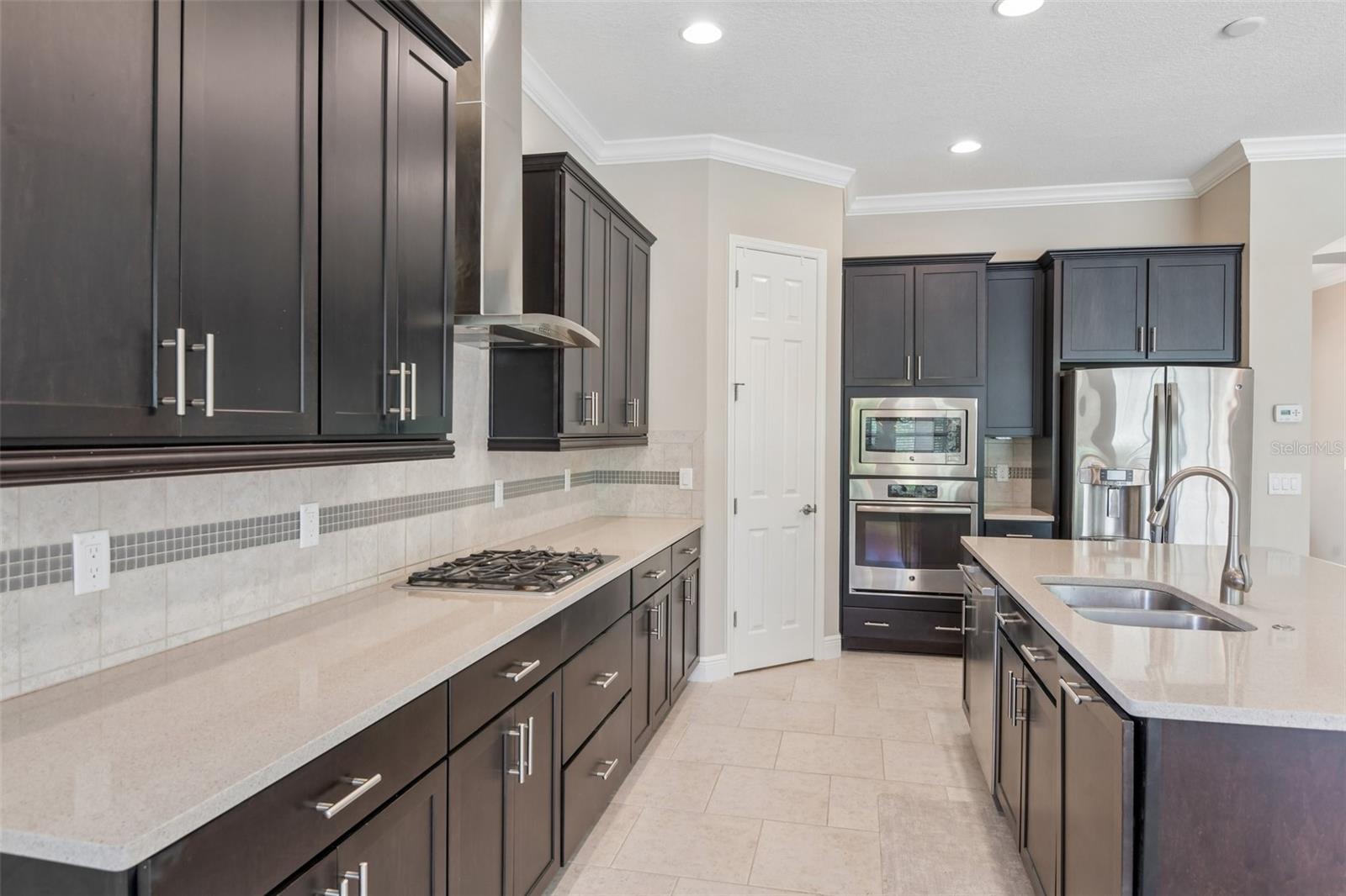 8355 SWISS CHARD CIR, LAND O LAKES, FL — photo 11