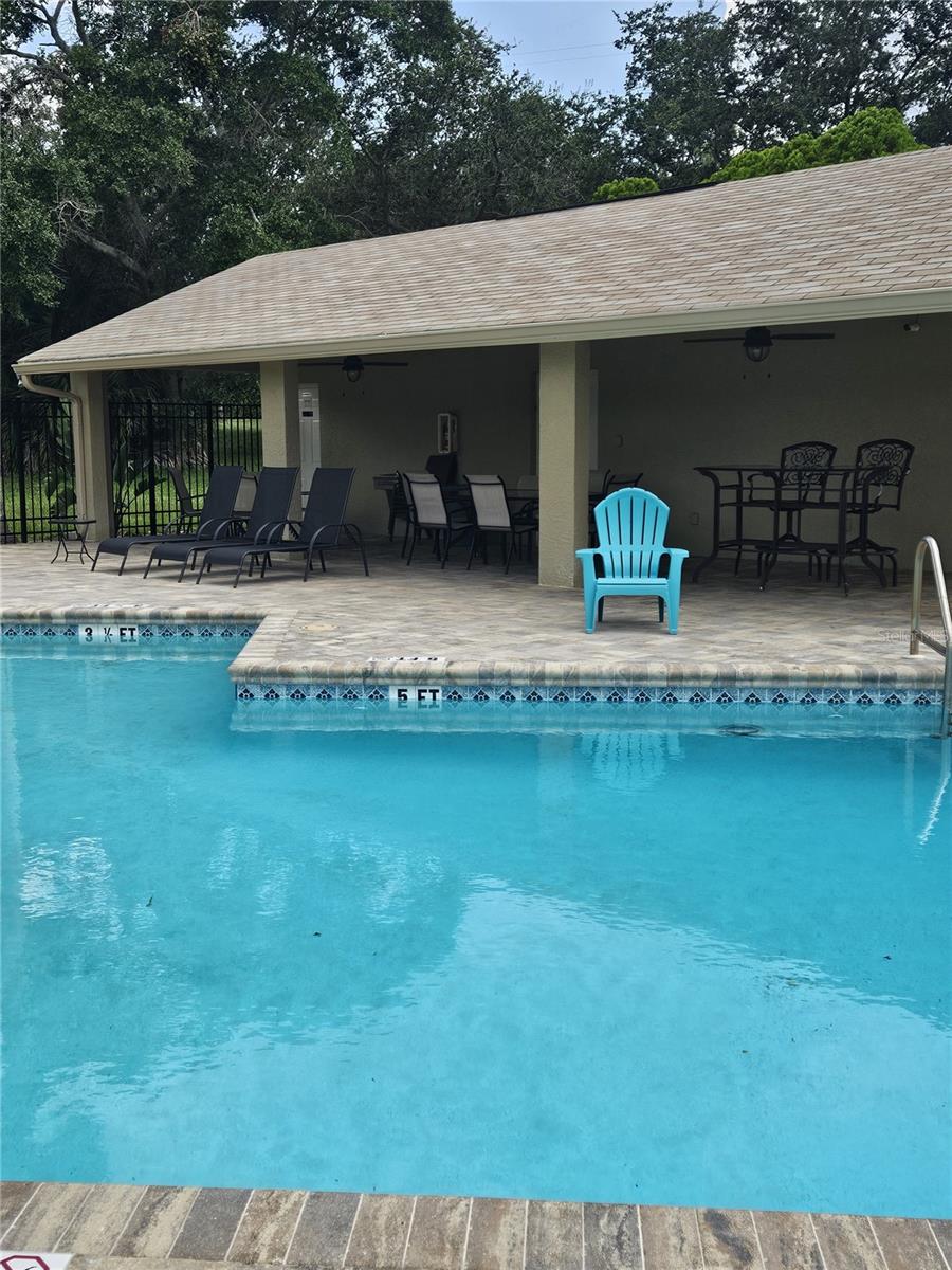 2843 THAXTON DR #38, PALM HARBOR, FL — photo 32