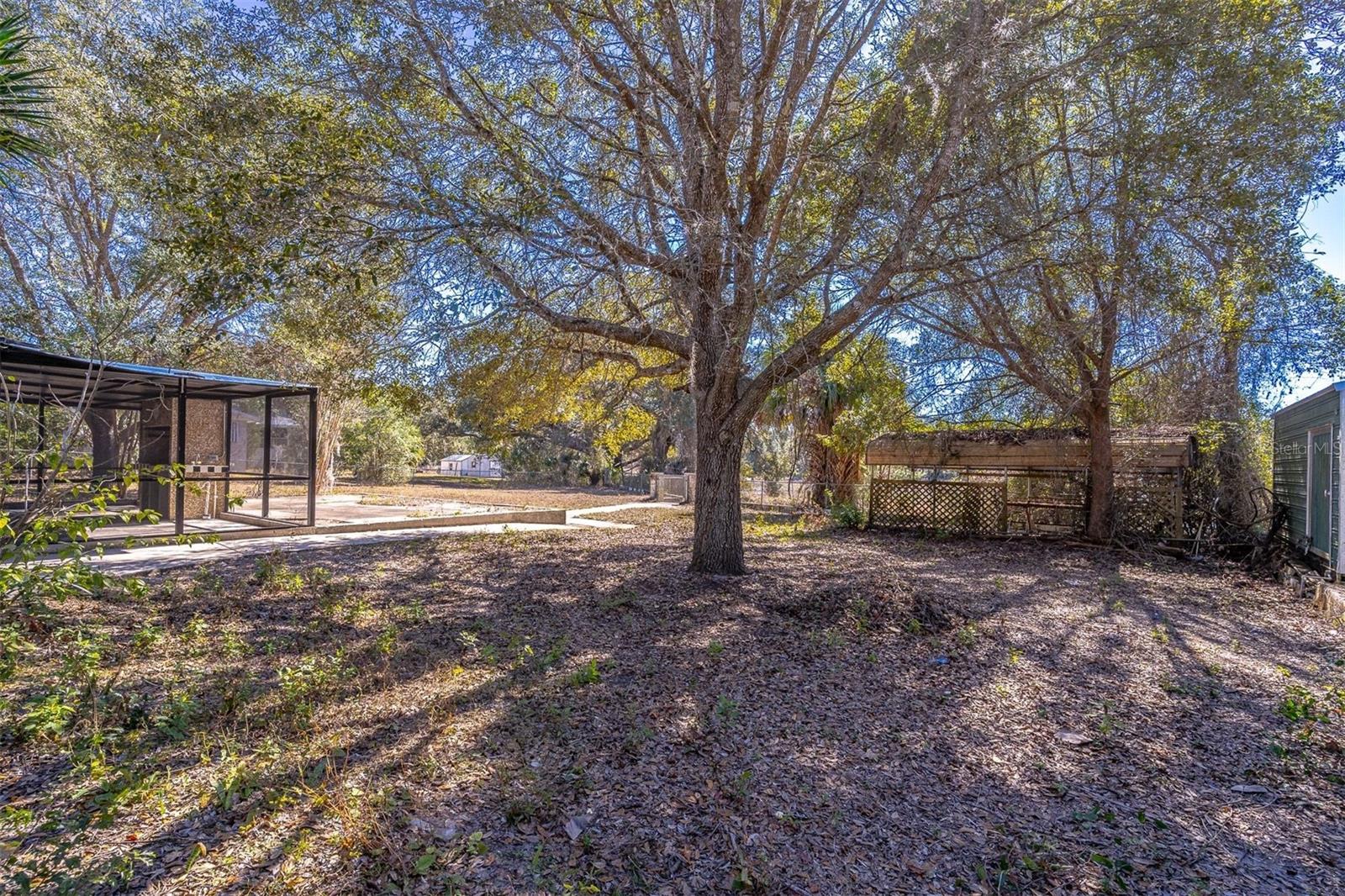 16880 SE 63RD LN, OCKLAWAHA, FL — photo 50