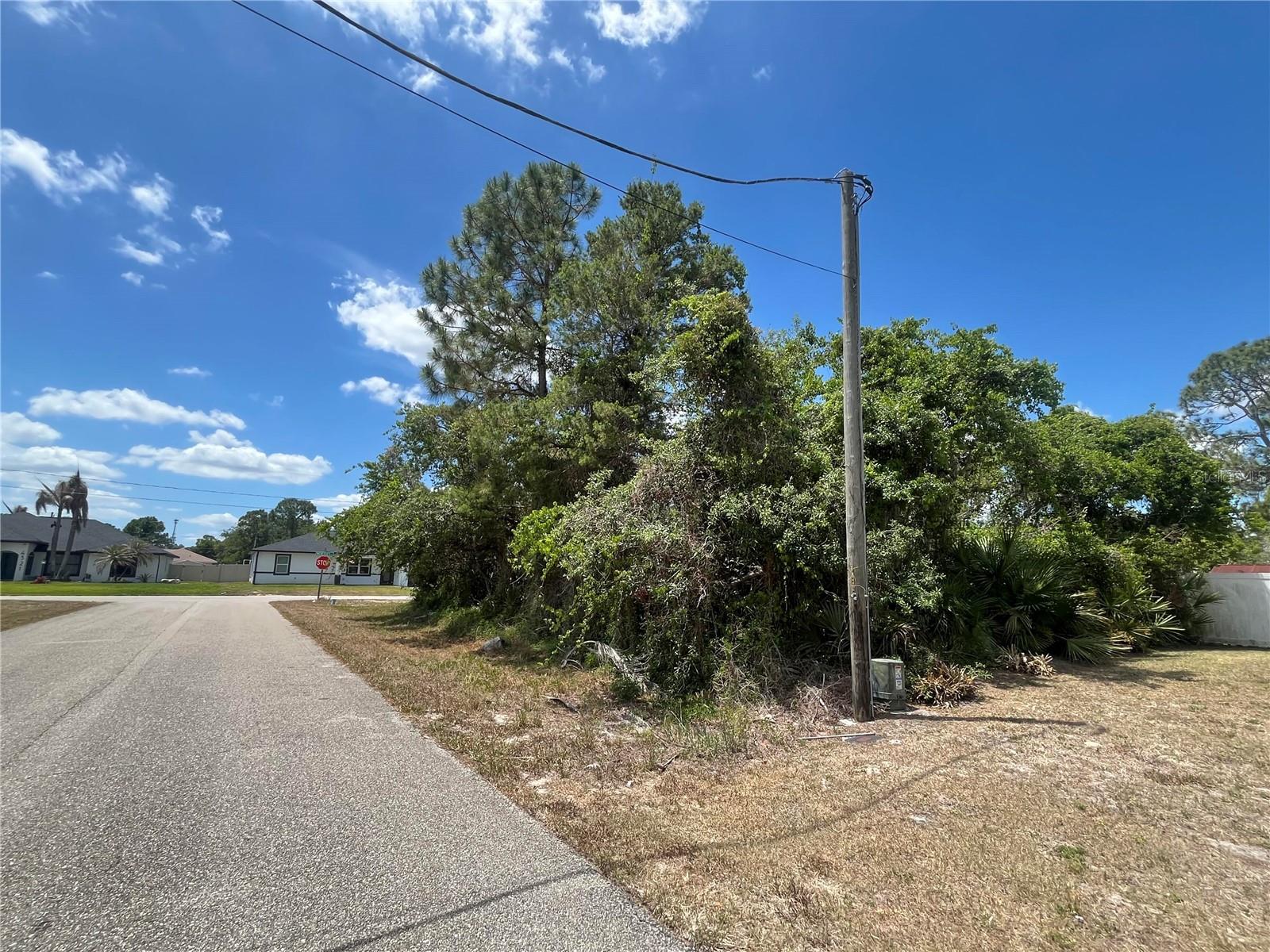 901 REPLICA AVE, SEBRING, FL — photo 2