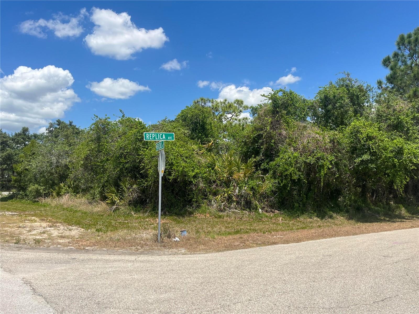 901 REPLICA AVE, SEBRING, FL — photo 4