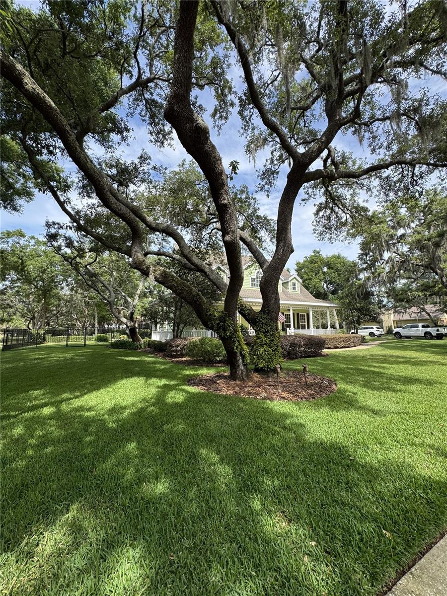 2928 CHELSEA WOODS DR, VALRICO, FL — photo 68