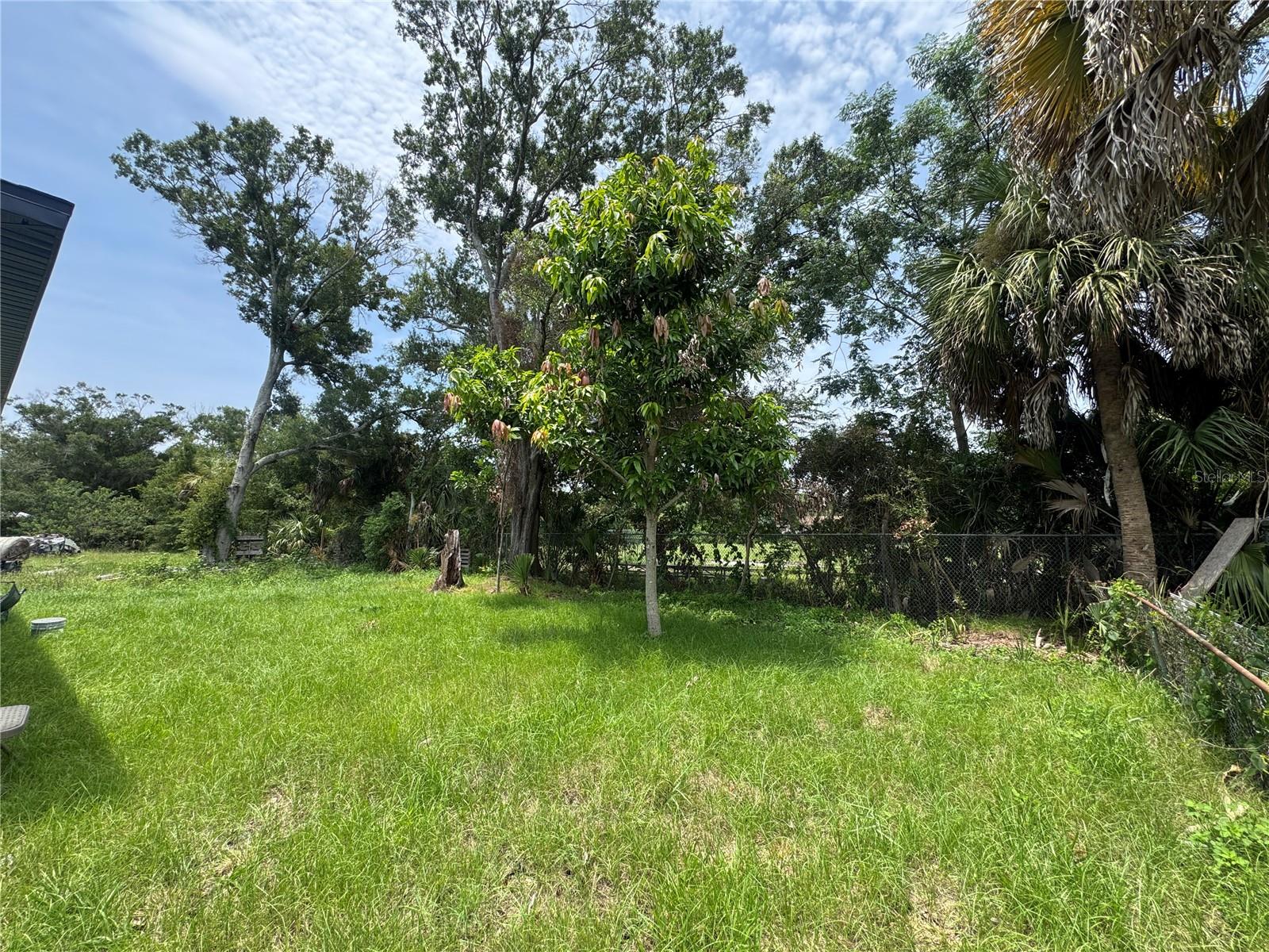 611 ELM ST, SAFETY HARBOR, FL — photo 21
