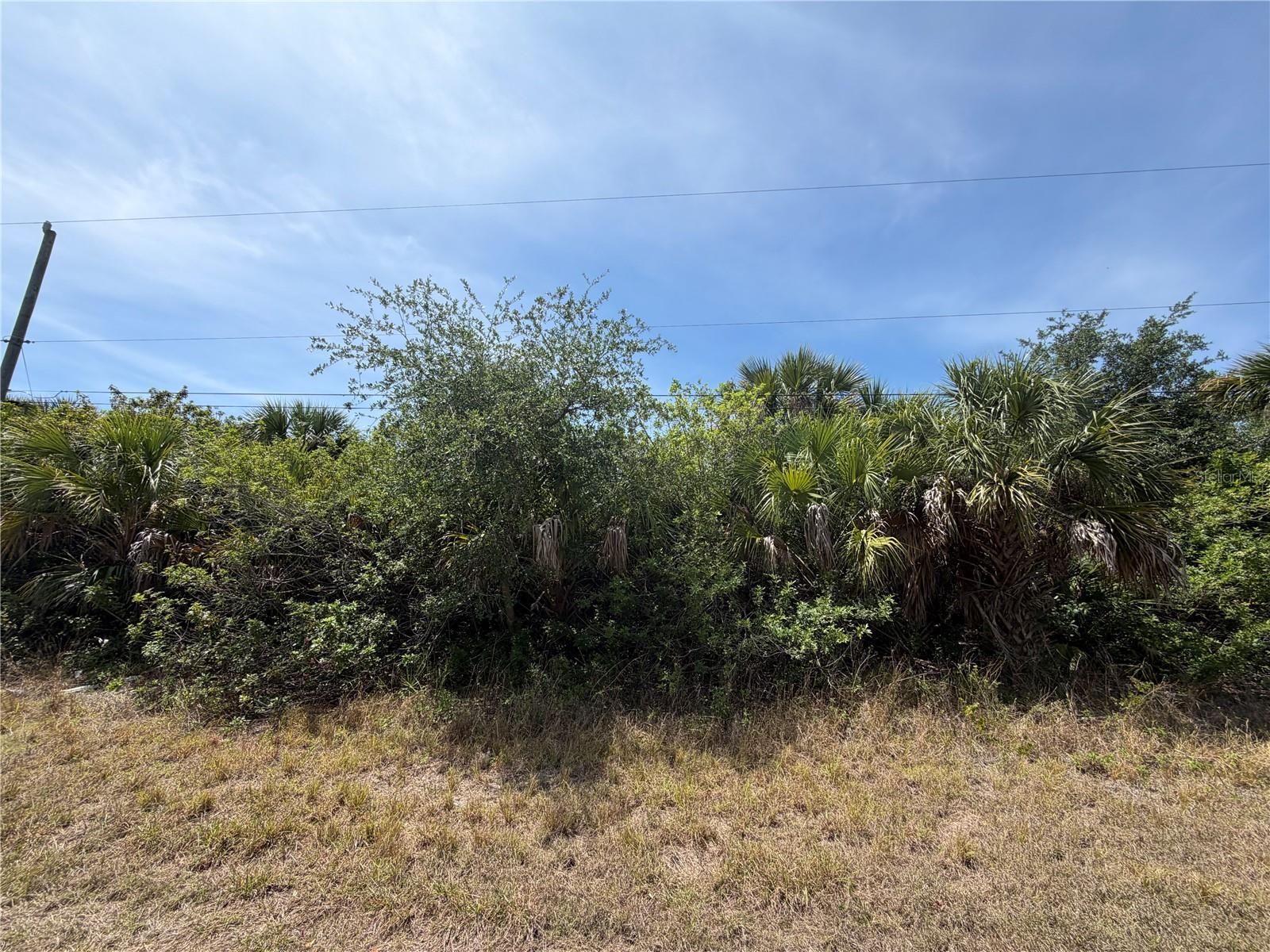 17163 EDGEWATER DR, PORT CHARLOTTE, FL — photo 5