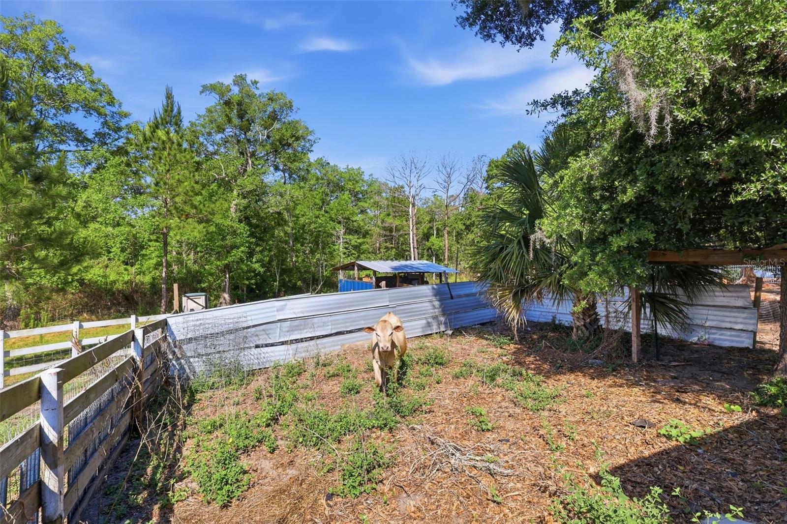 1898 BLACKWELDER RD, DE LEON SPRINGS, FL — photo 29