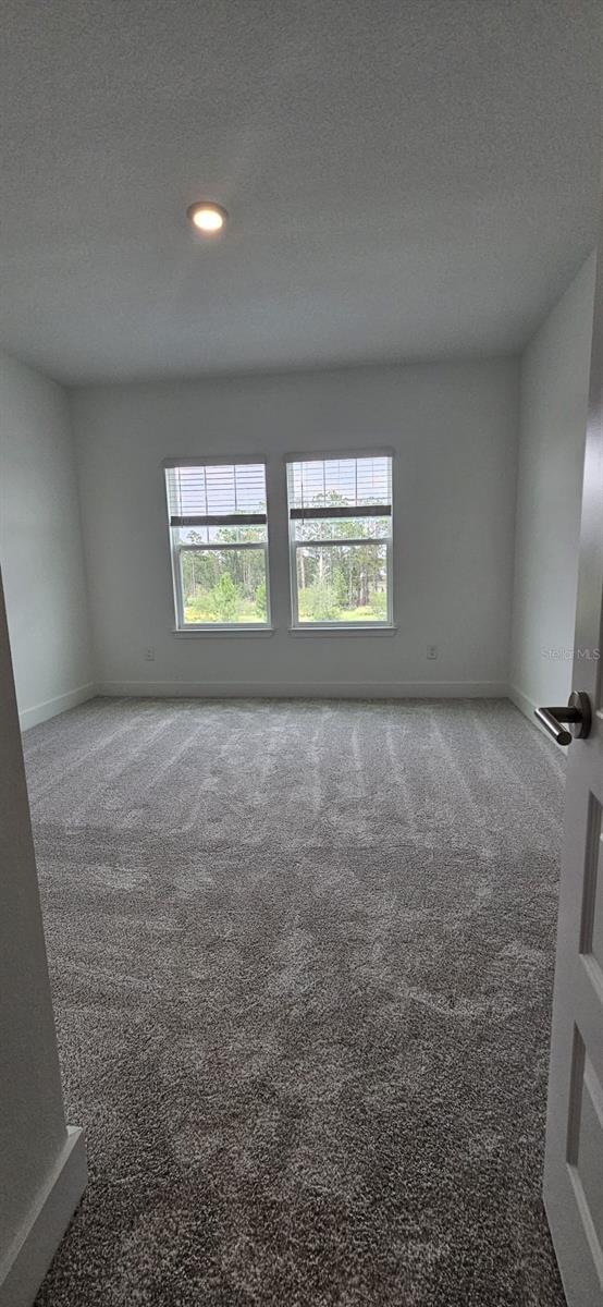 13552 AUTUMN HARVEST AVE, WINTER GARDEN, FL — photo 17