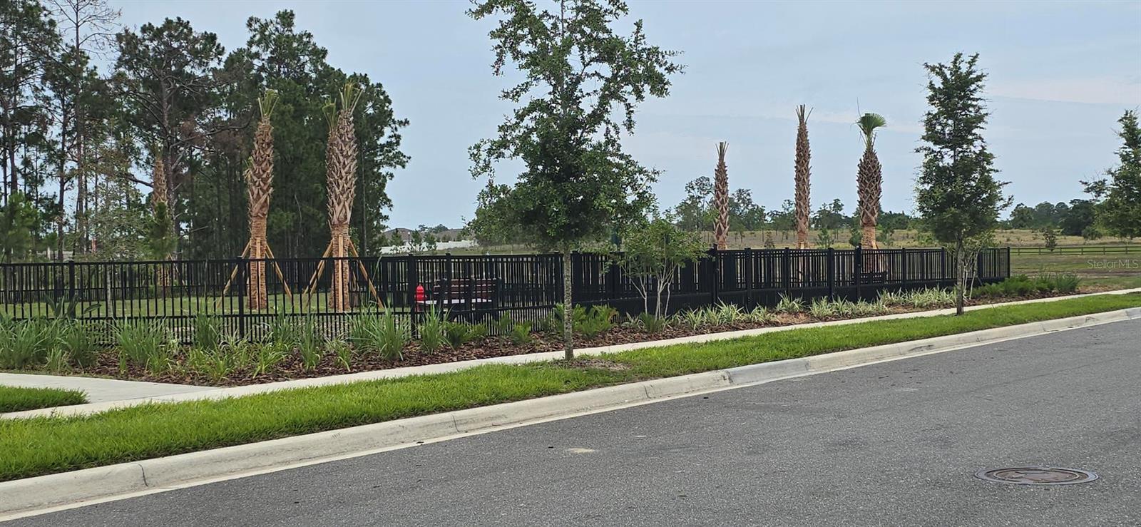 13552 AUTUMN HARVEST AVE, WINTER GARDEN, FL — photo 30