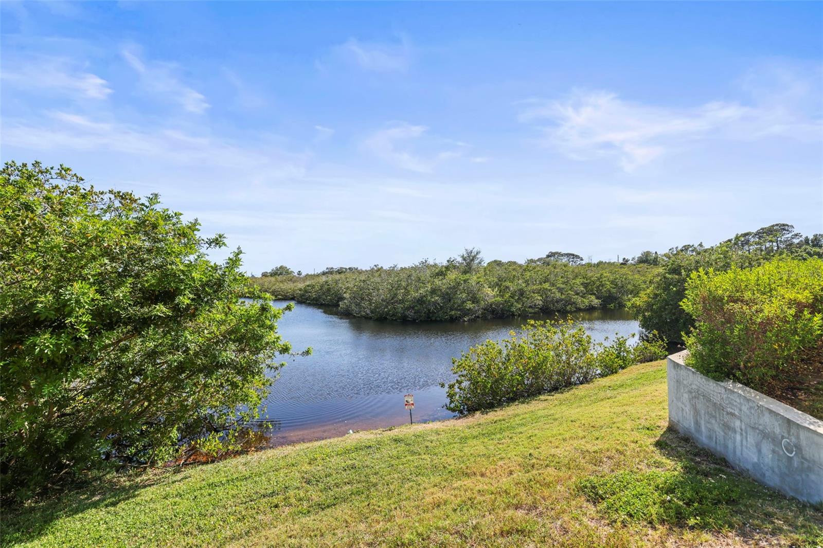 455 ALT 19 S #175, PALM HARBOR, FL — photo 28