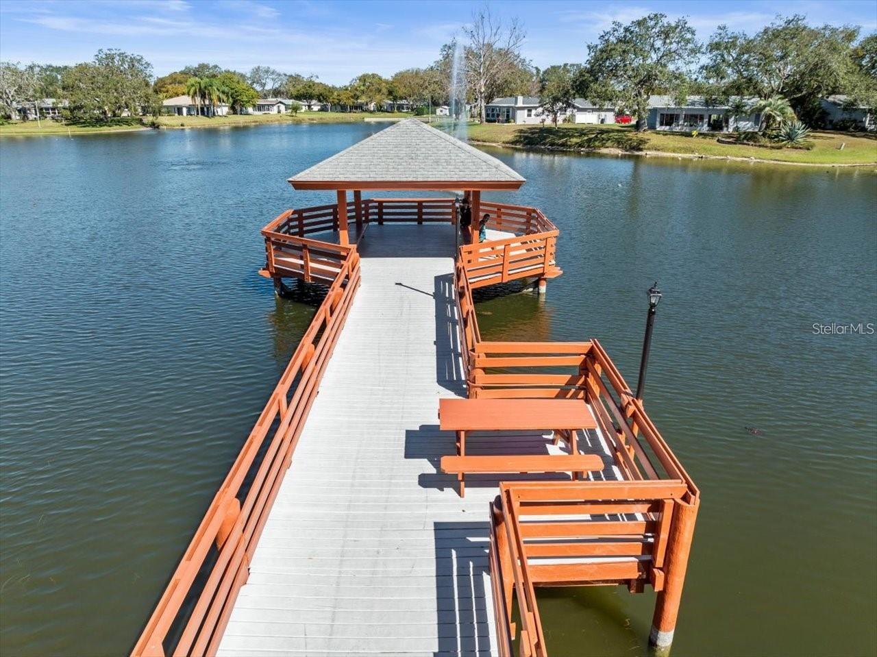 10541 GREEN MEADOW LN, PORT RICHEY, FL — photo 42