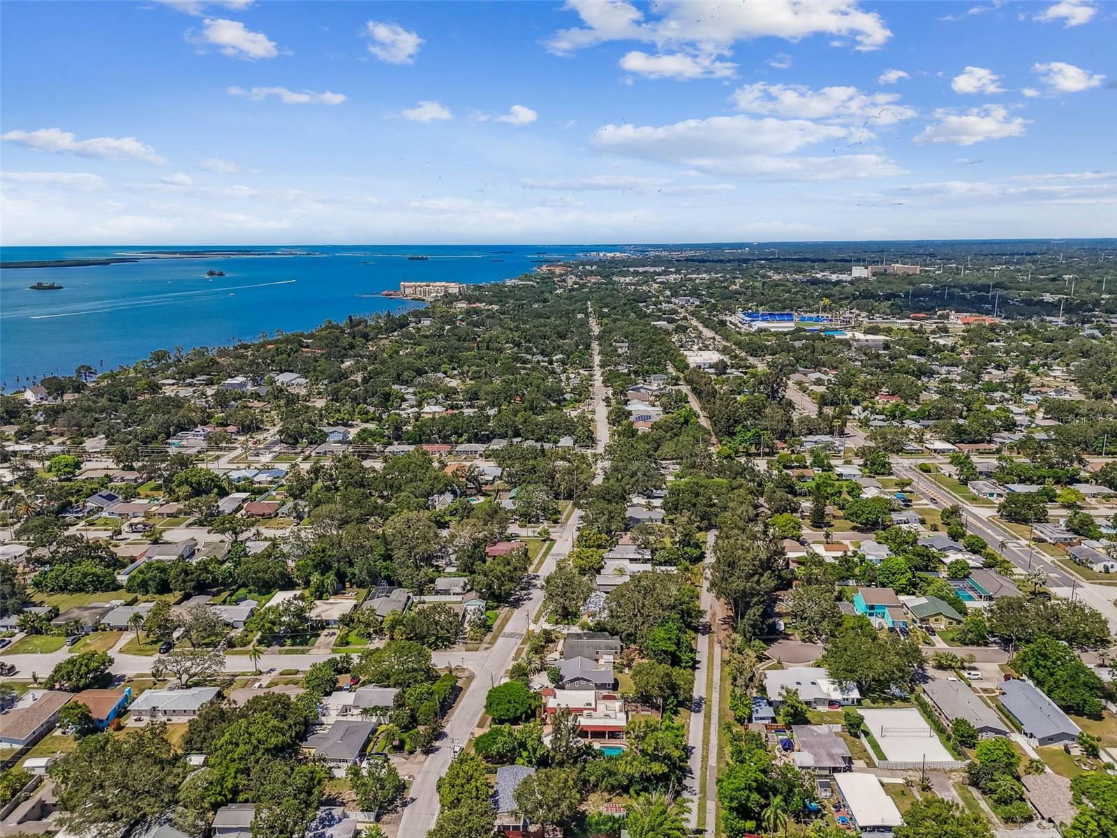 , DUNEDIN, FL — photo 41