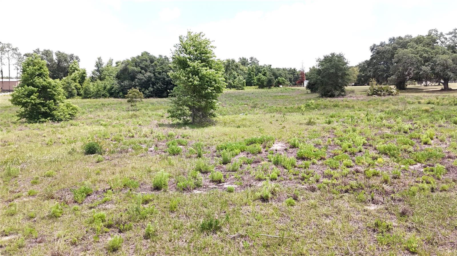 SONOMA RIDGE RD, CLERMONT, FL — photo 13