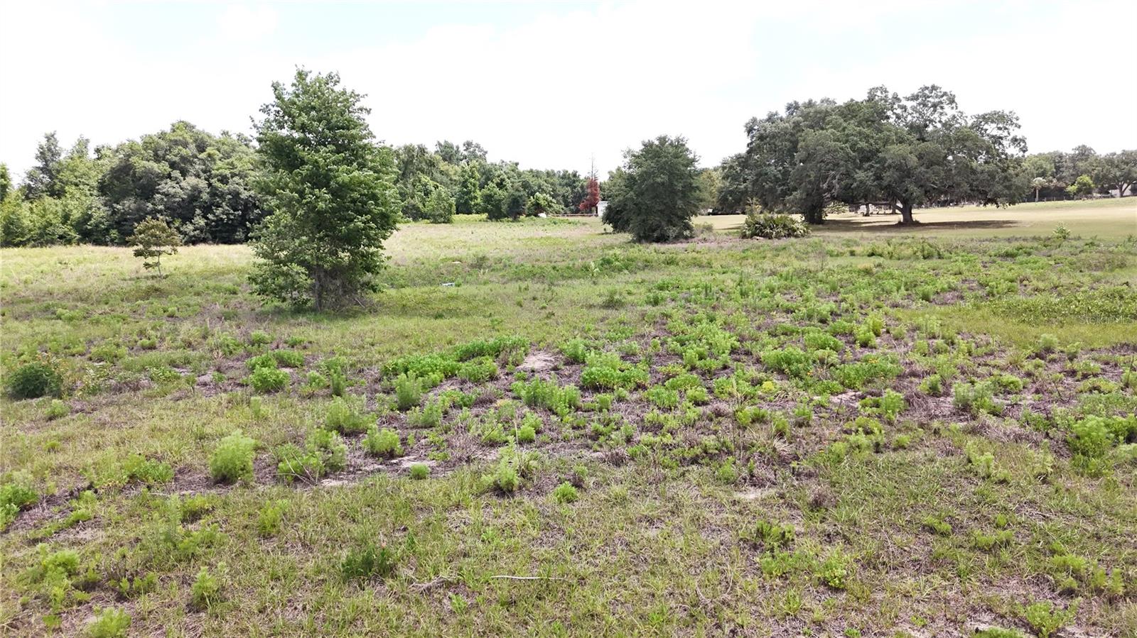 SONOMA RIDGE RD, CLERMONT, FL — photo 15