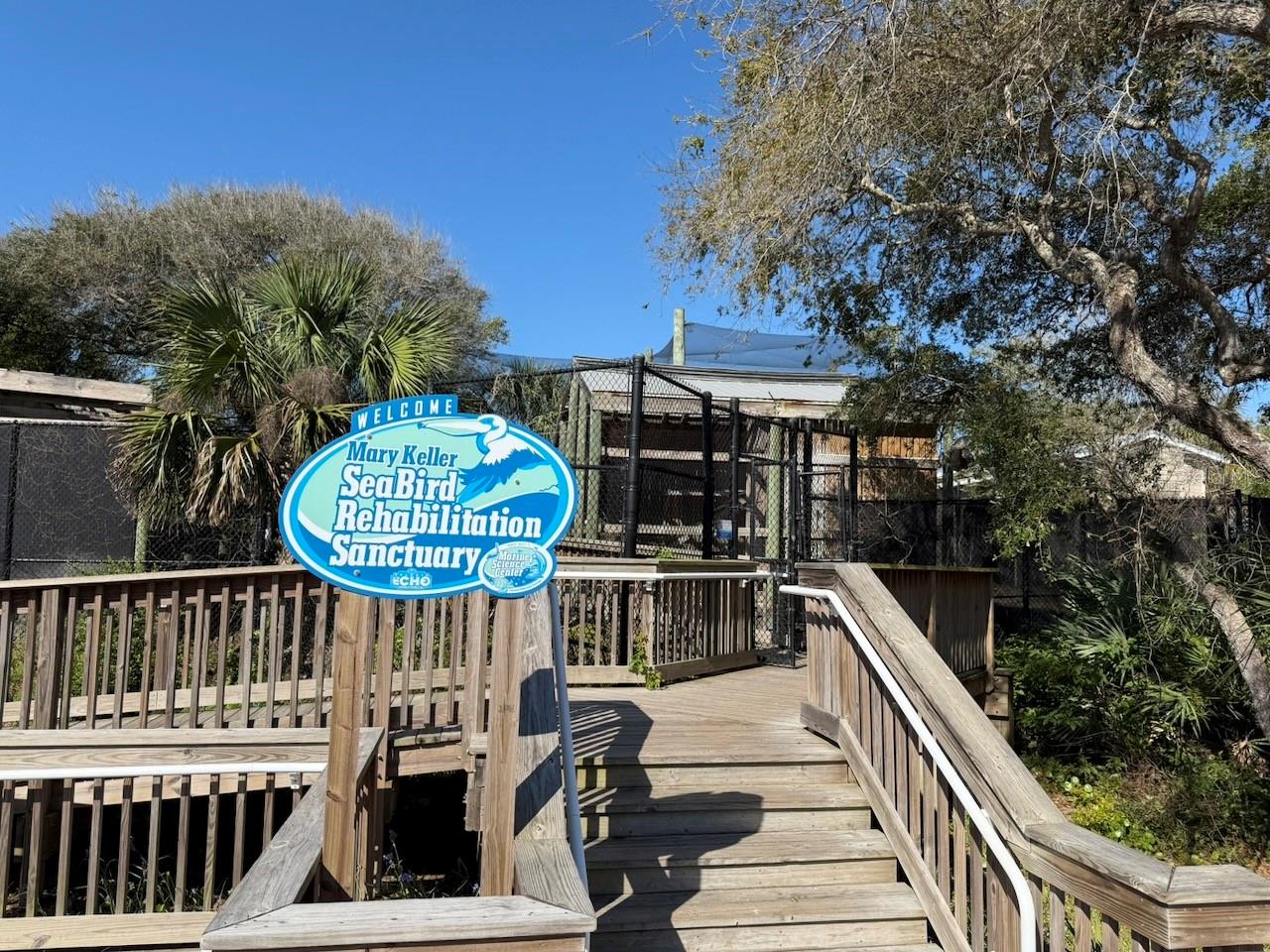 70 OCEAN WAY DR, PONCE INLET, FL — photo 9