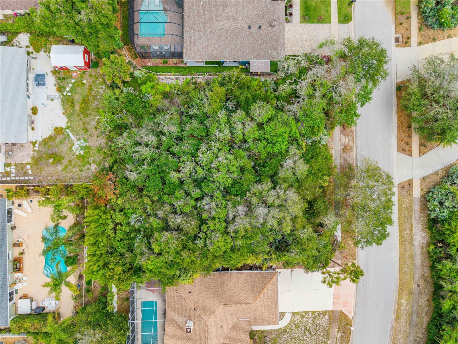 70 OCEAN WAY DR, PONCE INLET, FL — photo 13