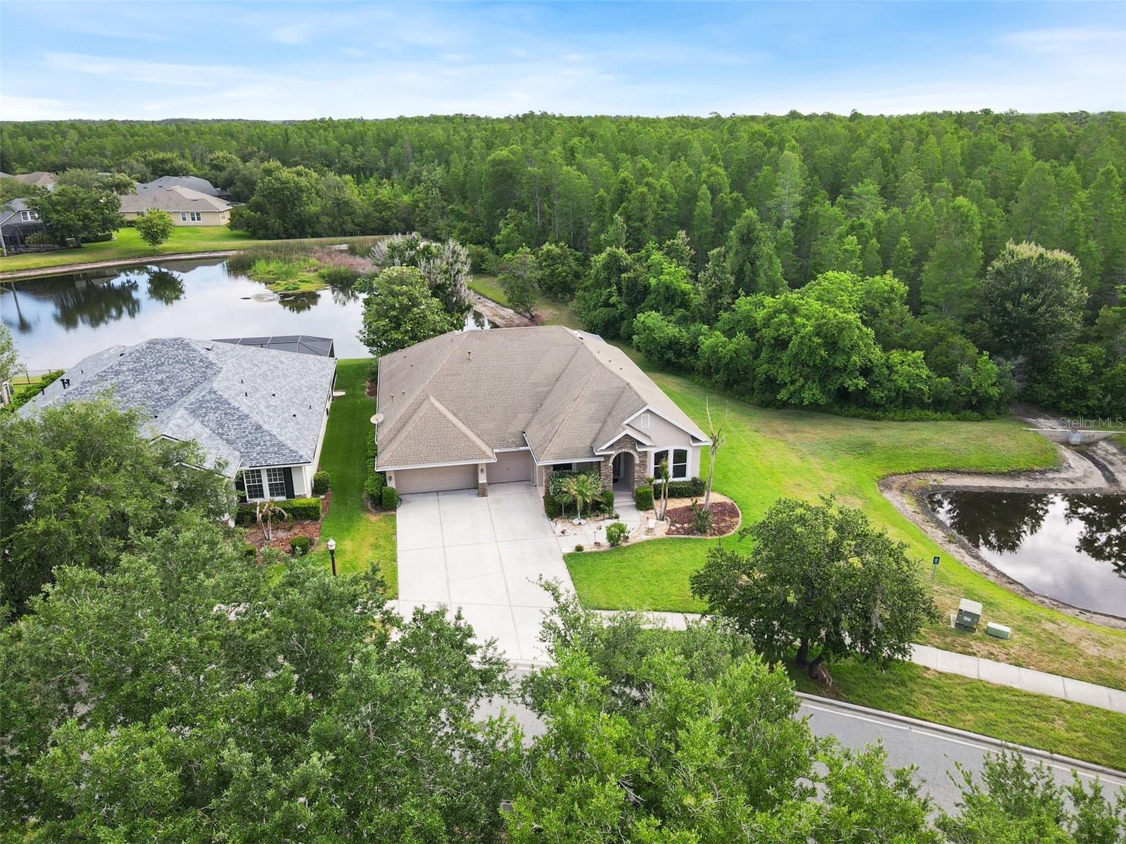 8434 WESTERLAND DR, LAND O LAKES, FL — photo 2