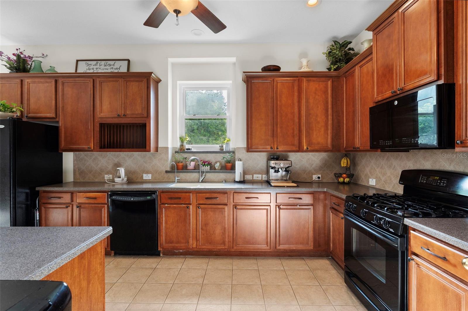 8434 WESTERLAND DR, LAND O LAKES, FL — photo 15