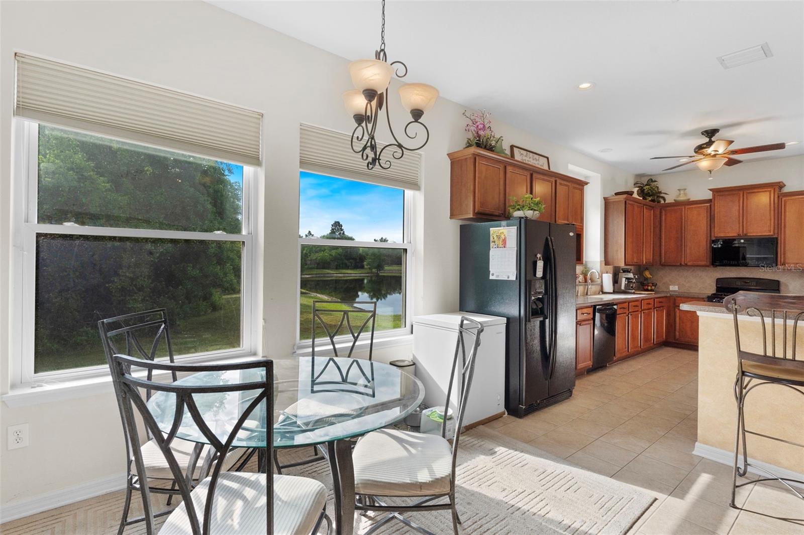 8434 WESTERLAND DR, LAND O LAKES, FL — photo 20
