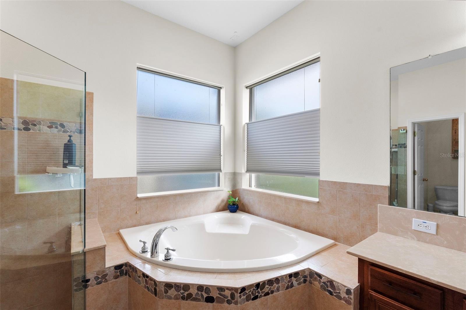 8434 WESTERLAND DR, LAND O LAKES, FL — photo 30