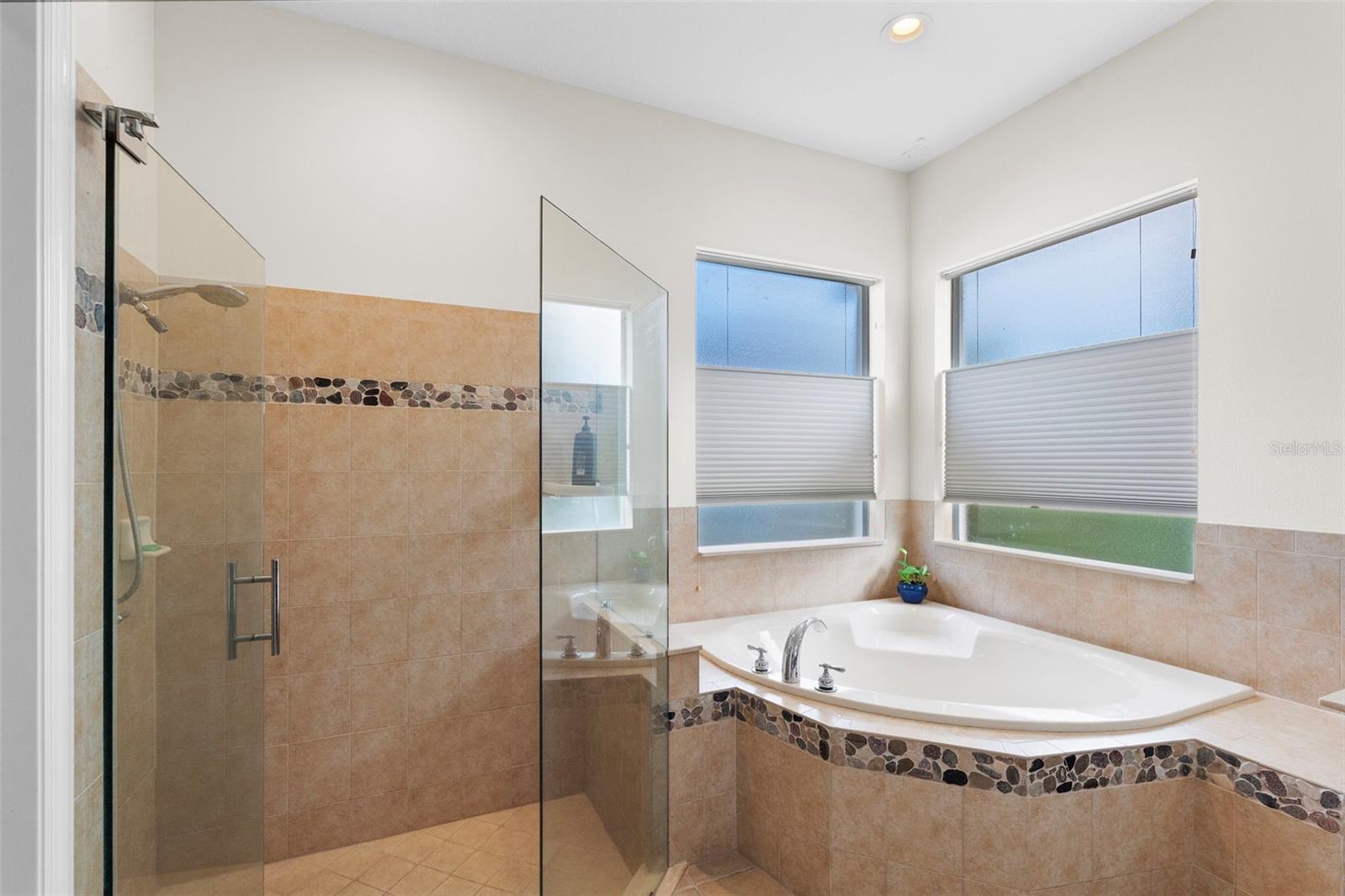 8434 WESTERLAND DR, LAND O LAKES, FL — photo 33