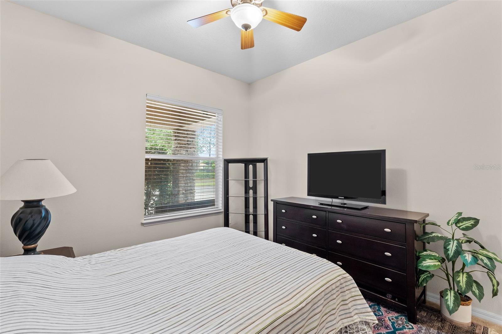 8434 WESTERLAND DR, LAND O LAKES, FL — photo 39