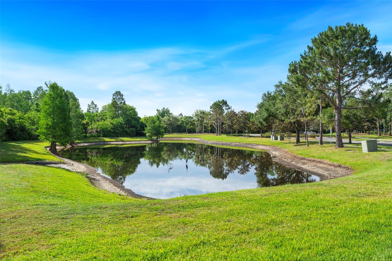 8434 WESTERLAND DR, LAND O LAKES, FL — photo 59