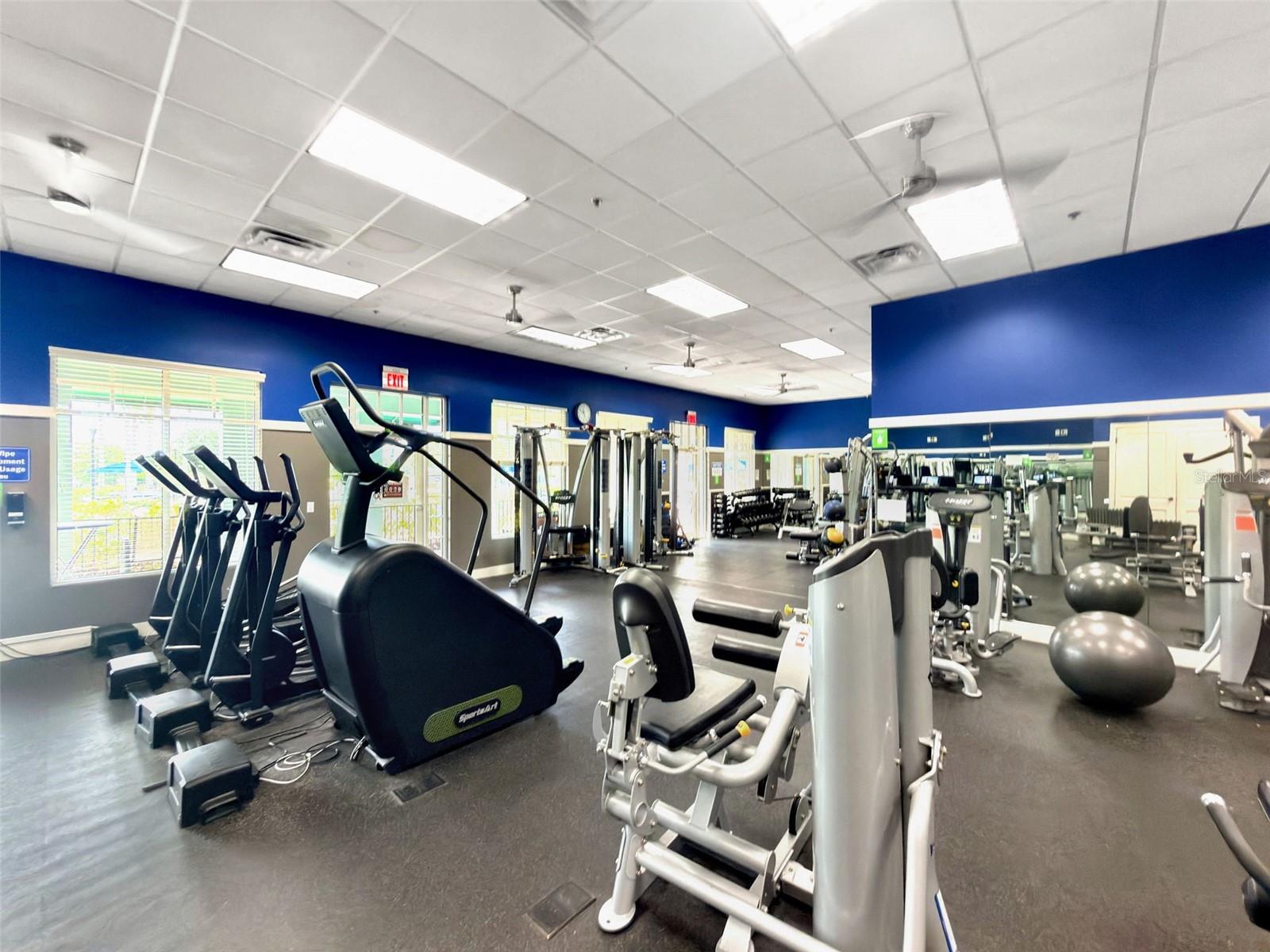 8434 WESTERLAND DR, LAND O LAKES, FL — photo 64