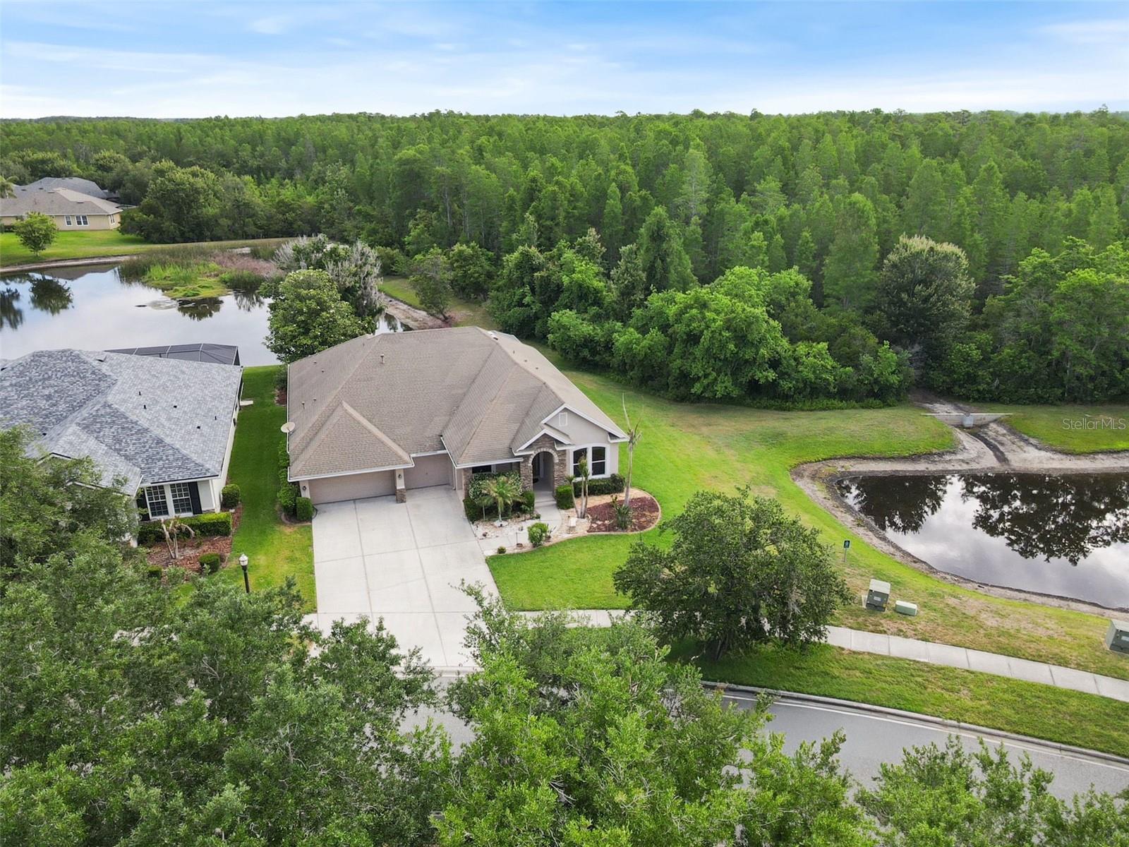 8434 WESTERLAND DR, LAND O LAKES, FL — photo 67