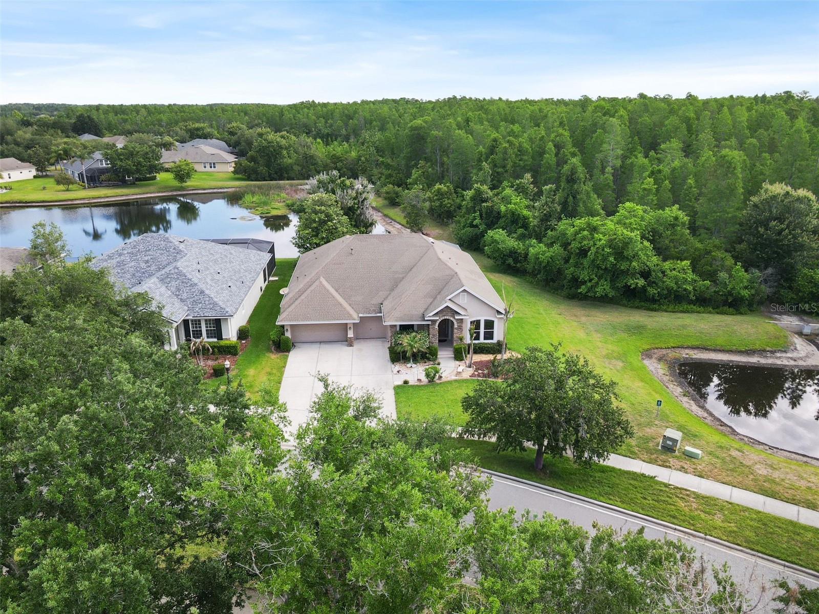 8434 WESTERLAND DR, LAND O LAKES, FL — photo 69