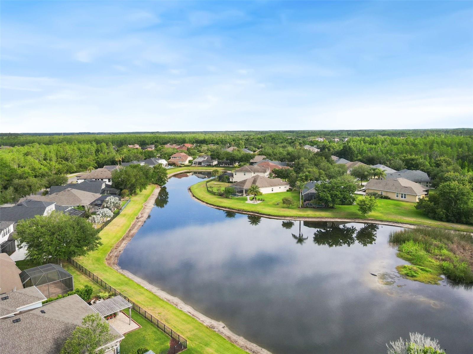 8434 WESTERLAND DR, LAND O LAKES, FL — photo 75