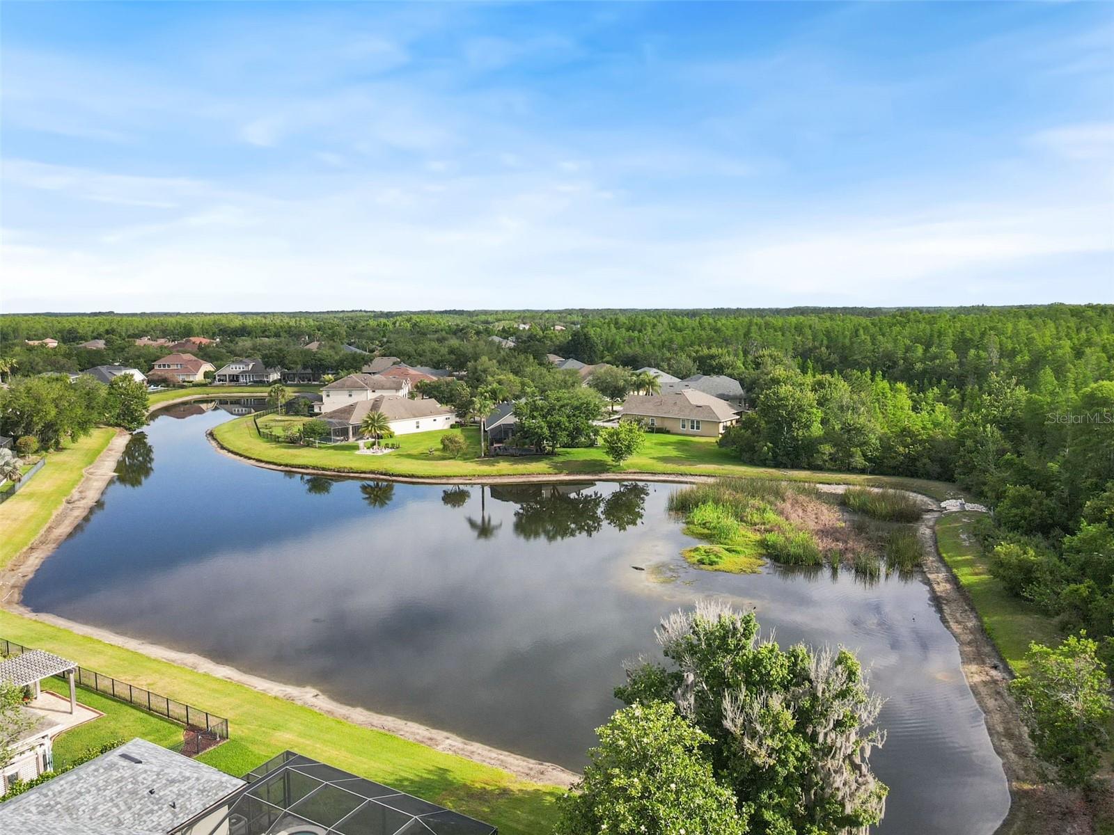 8434 WESTERLAND DR, LAND O LAKES, FL — photo 76