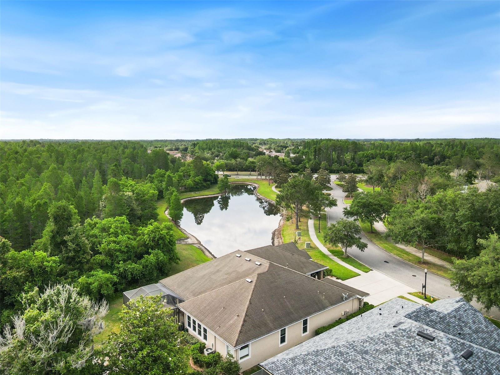 8434 WESTERLAND DR, LAND O LAKES, FL — photo 77